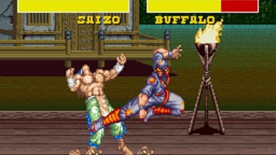 Power Instinct — screenshot 3