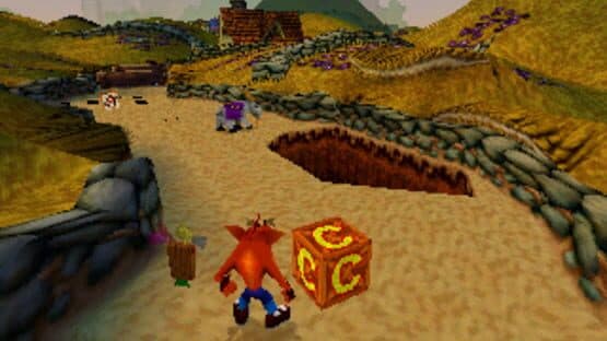 Crash Bandicoot Collectors' Edition — screenshot 1