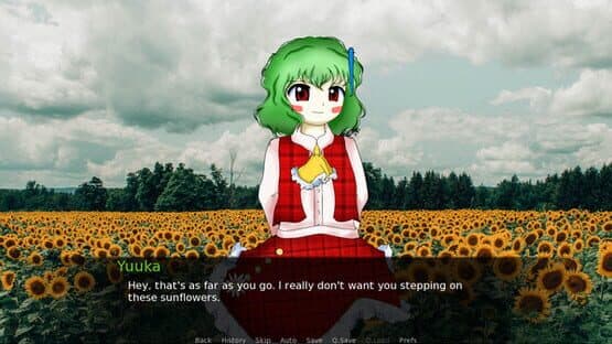 CBT With Yuuka Kazami — screenshot 1