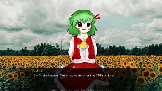 CBT With Yuuka Kazami — screenshot 2