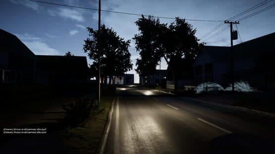 Liars Village — screenshot 2