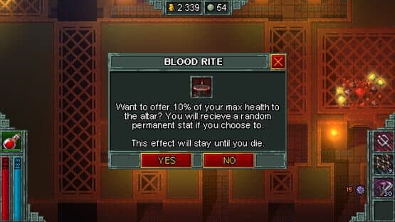 Heroes of Hammerwatch: Witch Hunter — screenshot 2