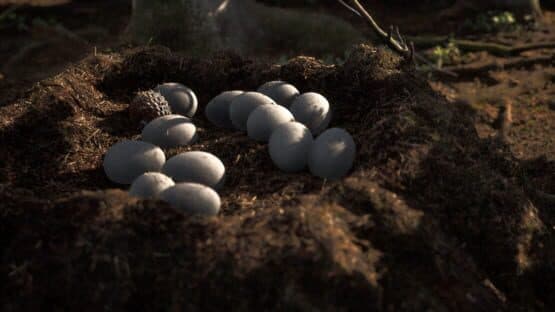 Instinction — screenshot 2