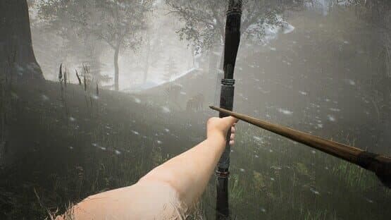 The Frost Rebirth — screenshot 3