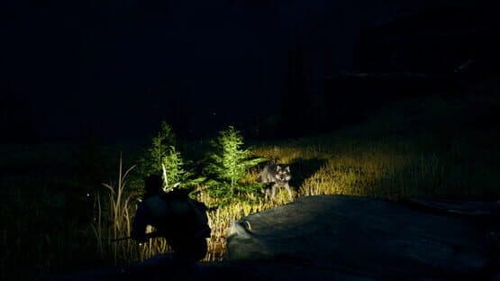 Open Country — screenshot 7