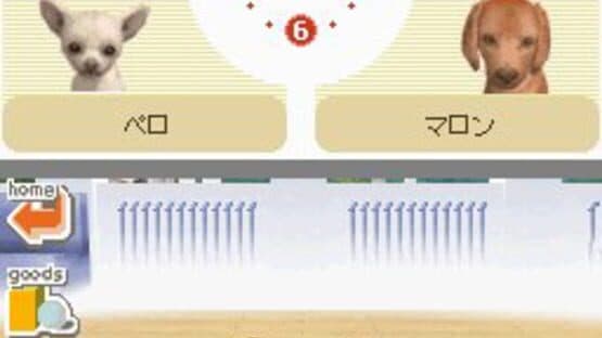 Nintendogs: Dachshund & Friends — screenshot 1