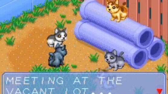 Catz — screenshot 1