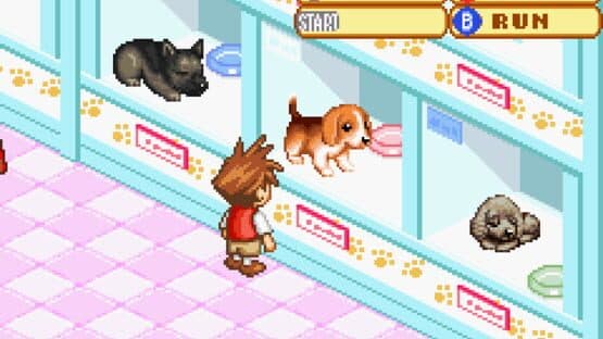 Dogz 2 — screenshot 1