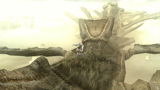 Shadow of the Colossus — screenshot 1