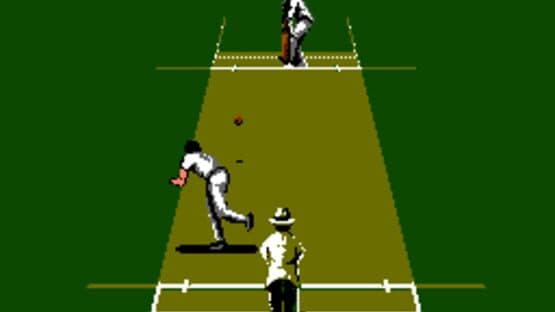 International Cricket — screenshot 1