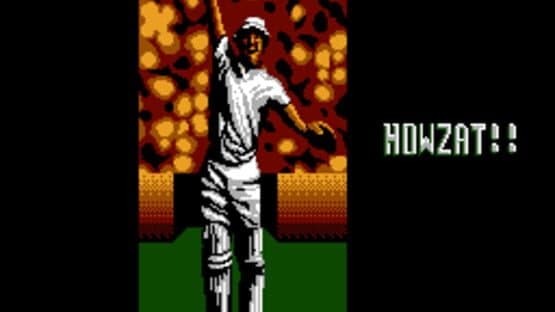 International Cricket — screenshot 2