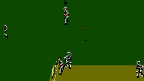 International Cricket — screenshot 3
