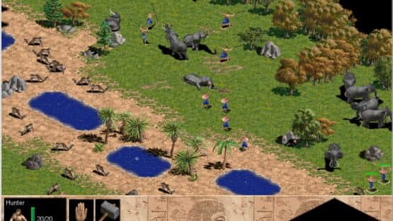 Age of Empires — screenshot 6