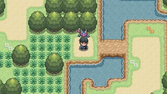 Pokémon Steam — screenshot 2