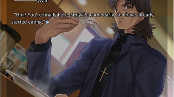 Fate/Stay Night: Réalta Nua - Heaven's Feel — screenshot 1