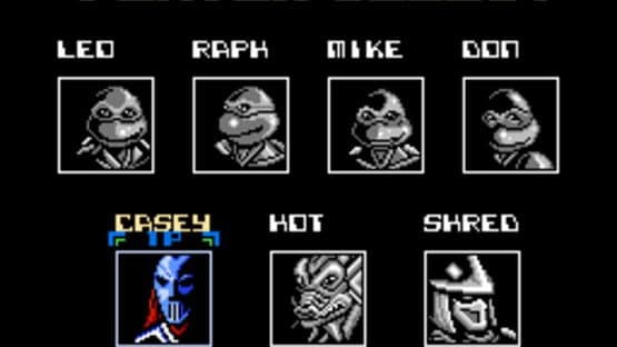 Teenage Mutant Ninja Turtles: Tournament Fighters — screenshot 4