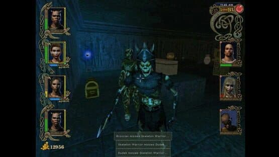 Might and Magic IX — screenshot 2