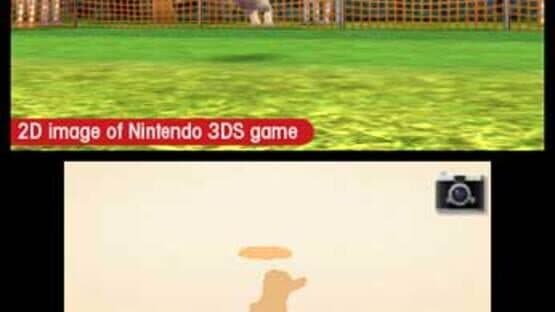 Nintendogs + Cats: Toy Poodle & New Friends — screenshot 5