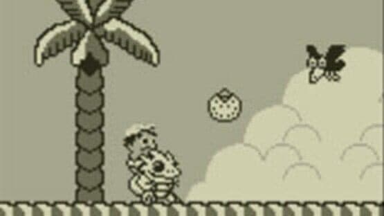Adventure Island — screenshot 1