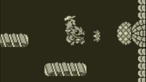 Adventure Island — screenshot 3