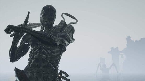Mortal Shell: Enhanced Edition — screenshot 2