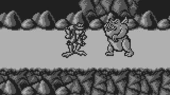 Battletoads — screenshot 8