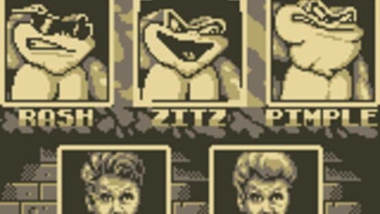 Battletoads / Double Dragon — screenshot 2