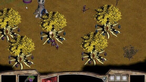 Warlords Battlecry — screenshot 7