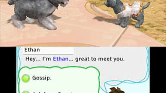 Petz Countryside — screenshot 2