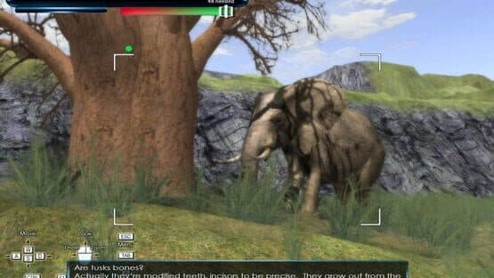 Safari Photo Africa: Wild Earth — screenshot 1