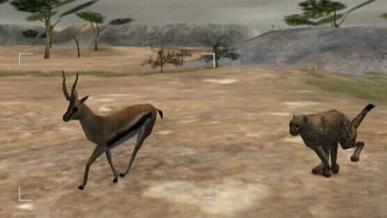 Wild Earth: African Safari — screenshot 1