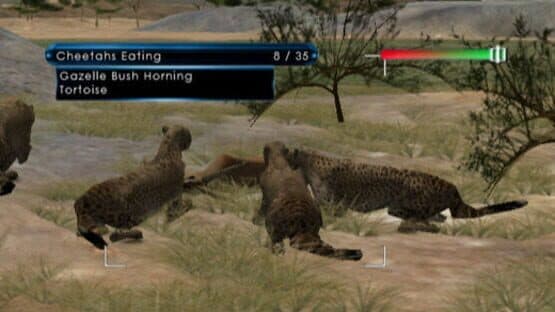 Wild Earth: African Safari — screenshot 2