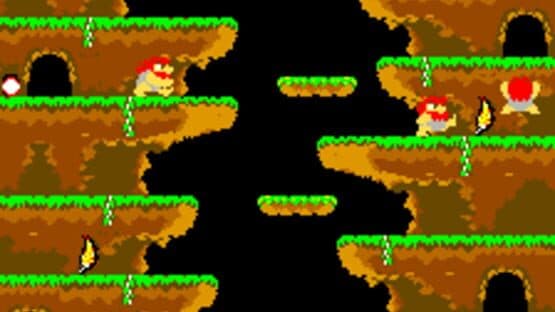 Roc 'N Rope — screenshot 1