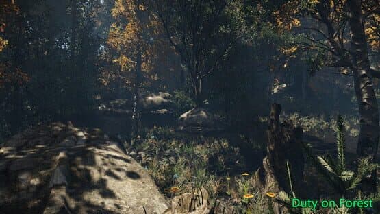 Duty on Forest — screenshot 5