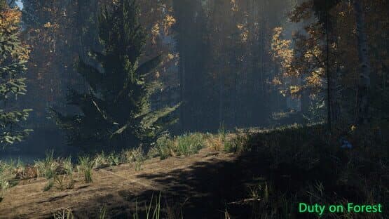 Duty on Forest — screenshot 6
