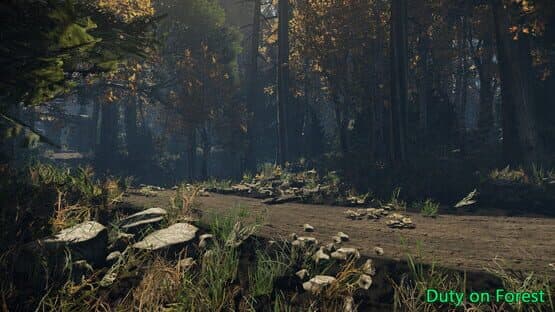 Duty on Forest — screenshot 7