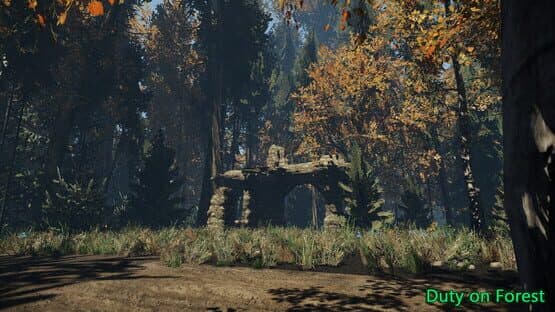 Duty on Forest — screenshot 8
