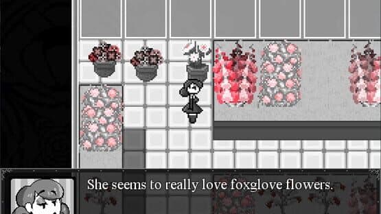 Ms.Director — screenshot 4