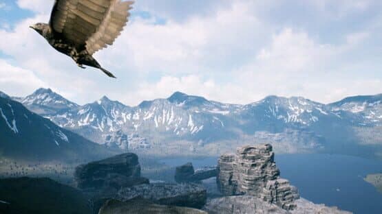 Freedom — screenshot 3