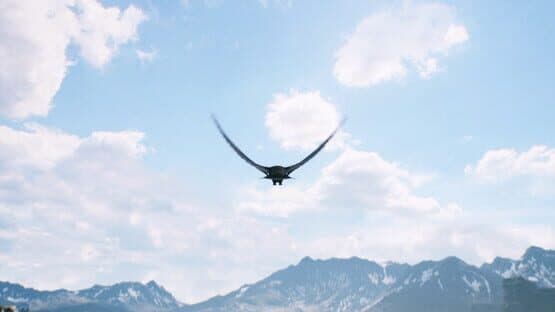 Freedom — screenshot 4
