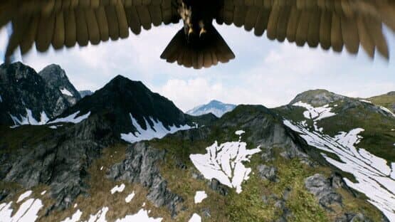 Freedom — screenshot 5