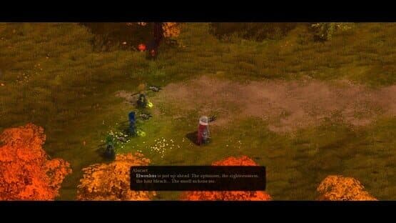 Magicka: The Other Side of the Coin — screenshot 1