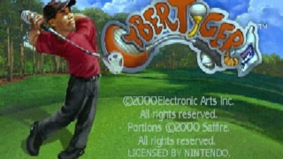 Cyber Tiger — screenshot 1