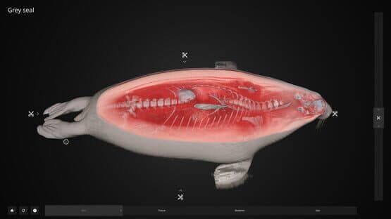 Inside Explorer — screenshot 1