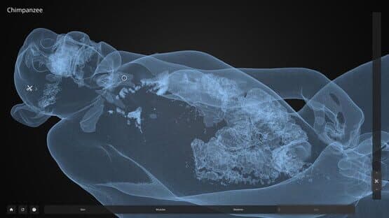Inside Explorer — screenshot 5