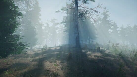 Mushroom Picker Simulator — screenshot 1