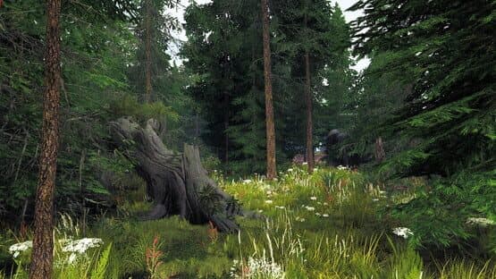 Undergrowth: VR Maze — screenshot 3