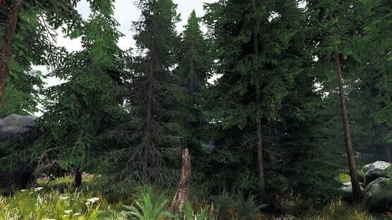 Undergrowth: VR Maze — screenshot 6