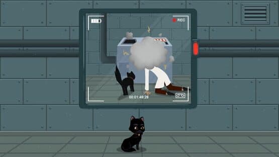 Meow Lab — screenshot 6