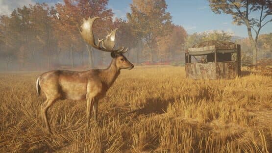 TheHunter: Call of the Wild - Tents & Ground Blinds — screenshot 1